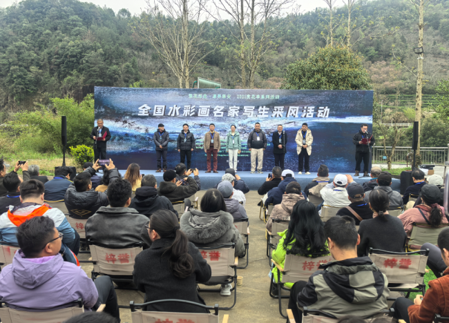 会议由中国美术家协会会员、浙江师范大学艺术学院教授潘江龙，双溪乡党委书记曾畅主持