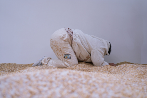 上海艺术家用1000粒黄金撒入10000斤大米,“淘金米”火爆北京