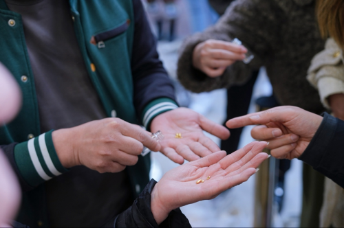 观众在细心“淘金米”