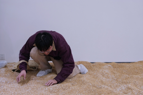 上海艺术家用1000粒黄金撒入10000斤大米,“淘金米”火爆北京