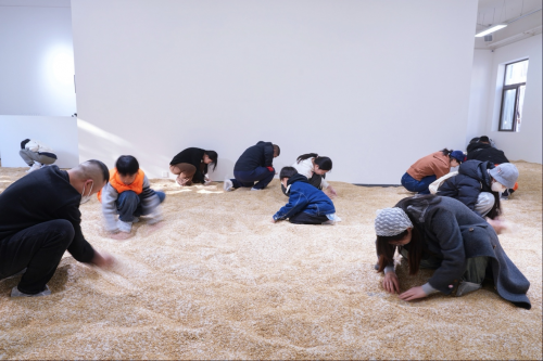 上海艺术家用1000粒黄金撒入10000斤大米,“淘金米”火爆北京