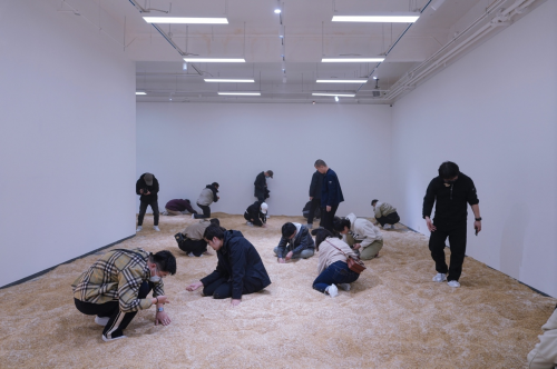 上海艺术家用1000粒黄金撒入10000斤大米,“淘金米”火爆北京