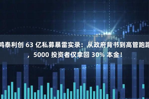 鸿泰利创 63 亿私募暴雷实录：从政府背书到高管跑路，5000 投资者仅拿回 30% 本金！